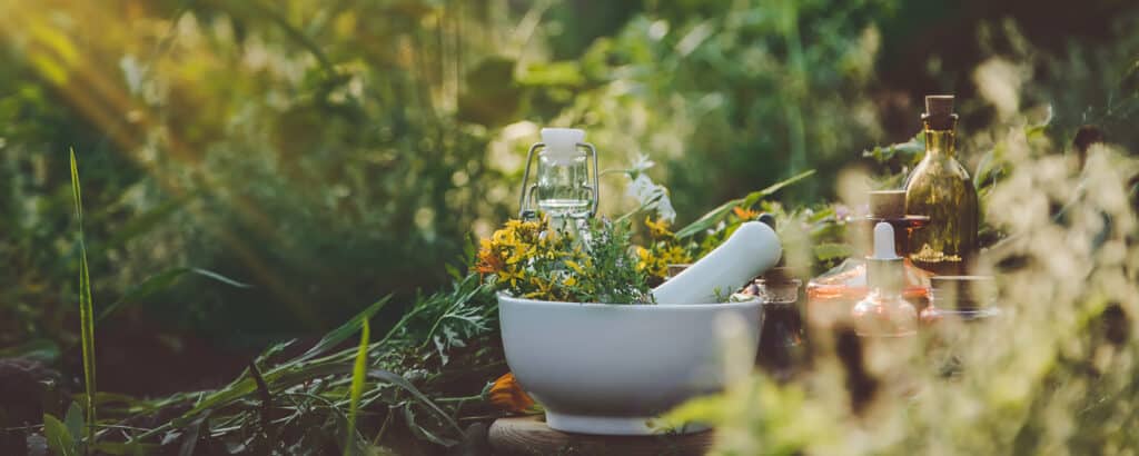Mortier avec herbes médicinales, fleurs jaunes et bouteilles d'huiles essentielles dans un jardin ensoleillé. Préparation de remèdes naturels.
